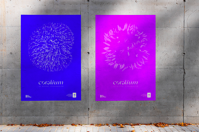 Coralium identité visuelle & direction artistique