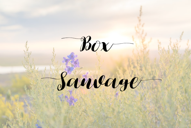 sauvage